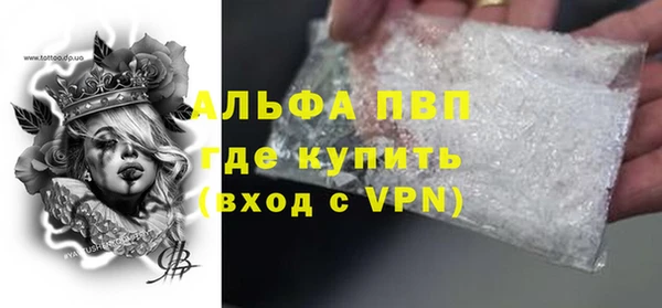 PSILOCYBIN Вяземский