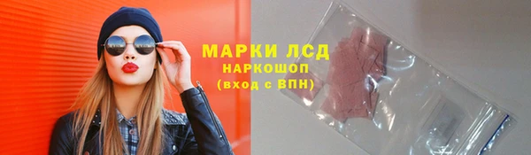 PSILOCYBIN Вяземский