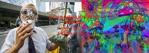 MESCALINE Вязники