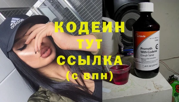 PSILOCYBIN Вяземский