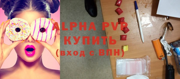 PSILOCYBIN Вяземский