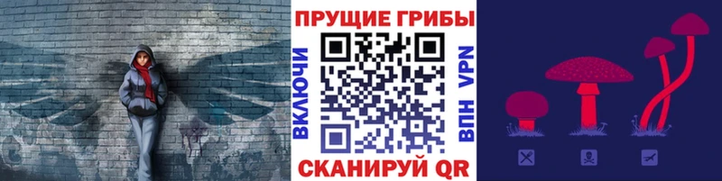 Галлюциногенные грибы Psilocybine cubensis  Могоча 