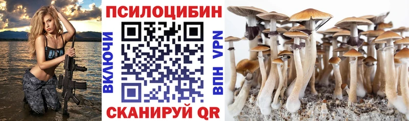 Псилоцибиновые грибы прущие грибы Могоча